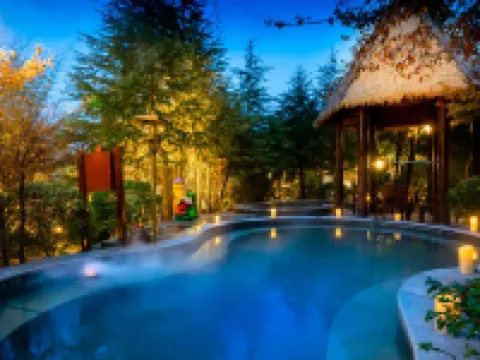 咸寧碧桂園鳳凰温泉酒店 咸寧酒店