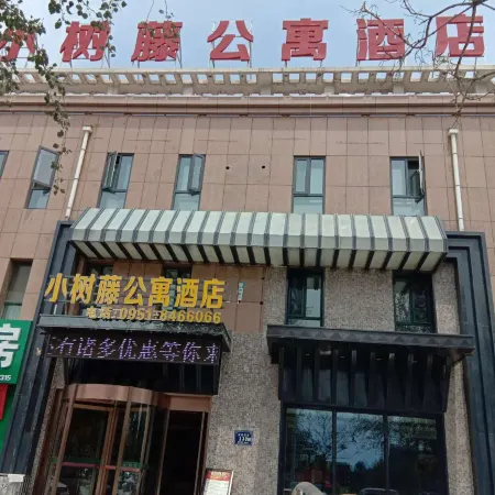 Yongning Xiaoshuteng Apartment Hotel