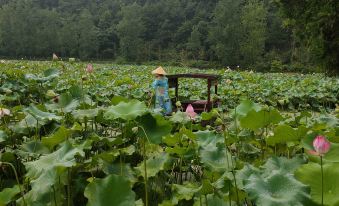 Lotus Origin · Wilderness Luxe Scenic Family Retreat (Ningguo Wannan Highway Branch)
