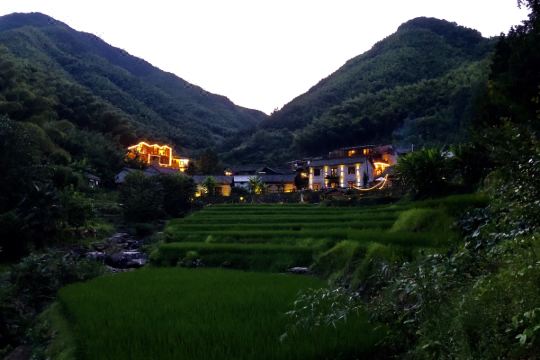 桐庐戴家山隐庐竹韵民宿