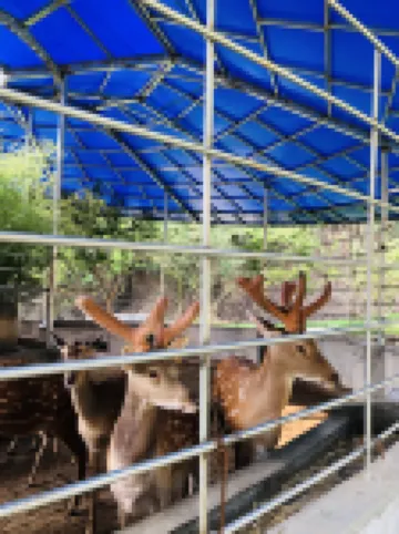 Yangcheng Luming Bieyuan