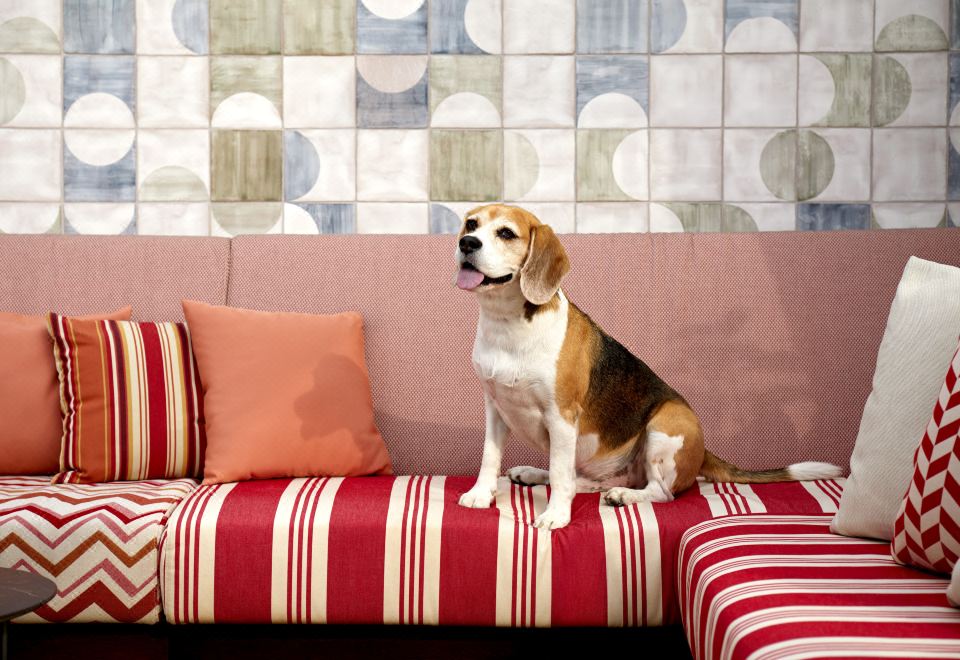 Kimpton Vividora Hotel의 트렌디한 풀사이드 바