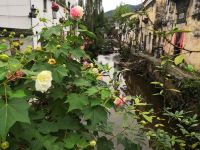 淳安芹川快活居民宿 - 酒店附近