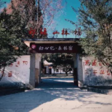 Chuxinji Forest Homestay