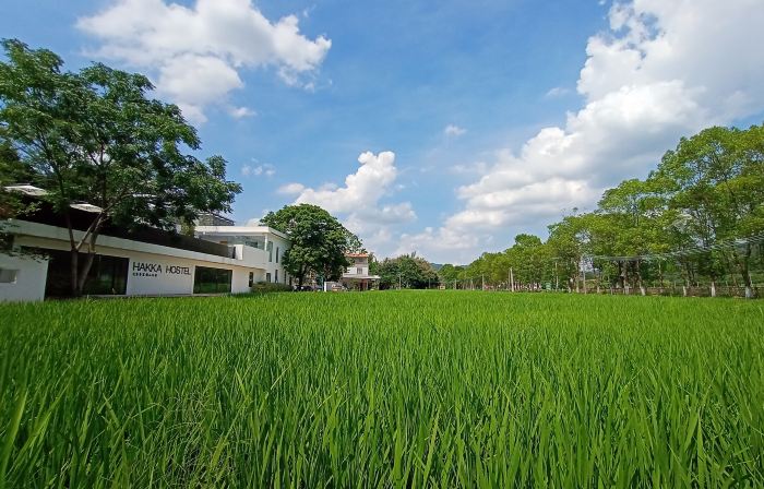 Hakka Hostel