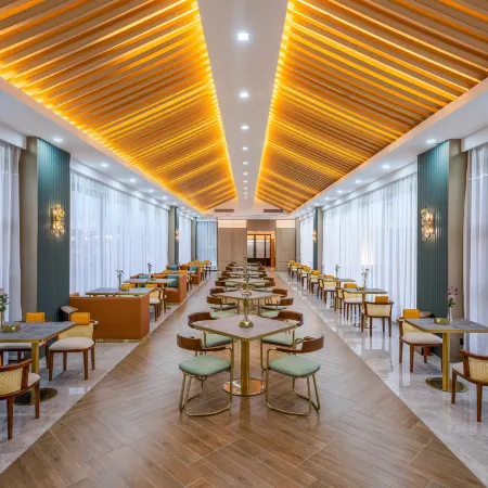 Orange Hotel (Puyang Government Branch)