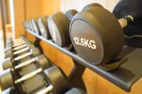 Zhangjiakou Grand Metropark Hotel - Gym