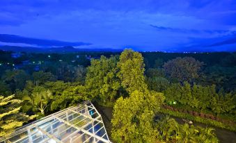 a glass building with a large glass roof is surrounded by lush green trees and mountains at night at J Resort