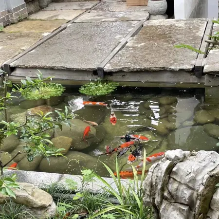 Langyuan Xiyin Homestay (Fanjing Mountain Zhaisha Dong Village Branch)