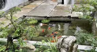 Fanjing Mountain Langyuan Xiyin Homestay