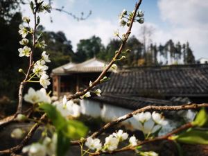 Qingtian Shanshe Inn