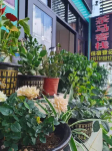 Tea Horse Inn in Mojiang China