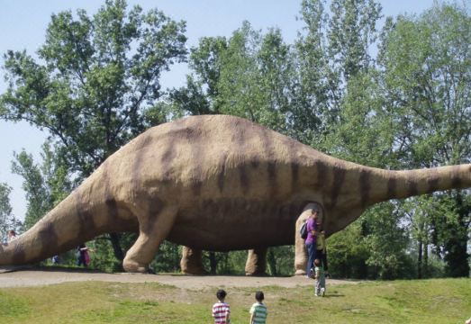 AS 호스텔 캄비아고 객실