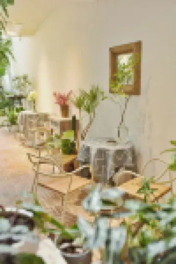 Kunming Latosol Hotel Hotels near Golden Horse and Jade Rooster Archway