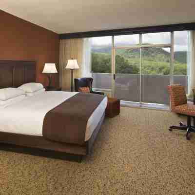 The Park Vista - a DoubleTree by Hilton Hotel - Gatlinburg Rooms