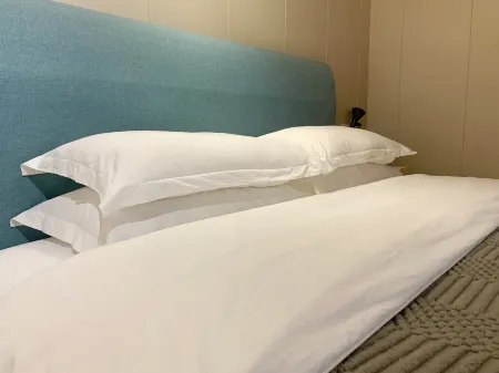 Greenhouse House inn Отели рядом с достопримечательностью «Shanghai Puji Bridge»