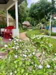 Chader Bari Eco Resort - 2-Star