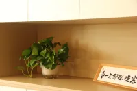 St. Regis Guesthouse Hotels in Gao County