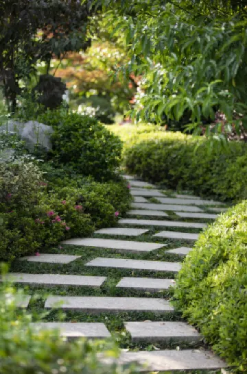 WUYUAN SEEK FLOWER HOTEL