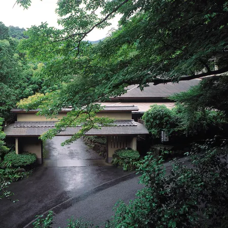 Oku Yugawara Tsubaki