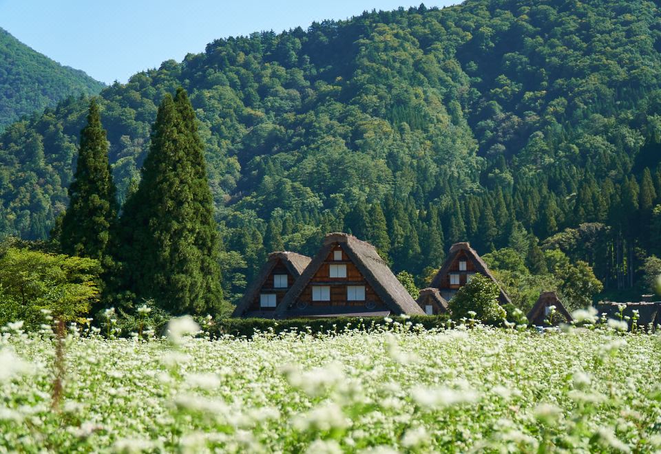 fav 히다타카야마 호텔 이미지