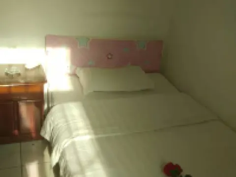 Danfeng Youth Business Hotel Hotels in Danfeng