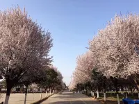 ADI farmhouse in Gaoguan waterfall, Xi'an