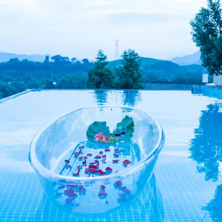 Floral Hotel·Wuyi Shandu Ancient Ship Wood Hot Spring Hotel