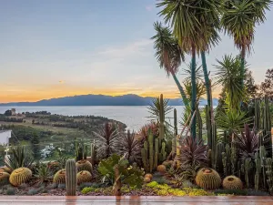 The Sunset Puyue Villa