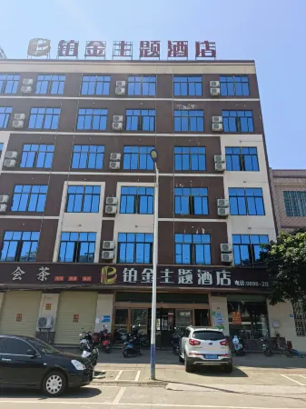 Platinum Theme Hotel Отели в г. Линьгао