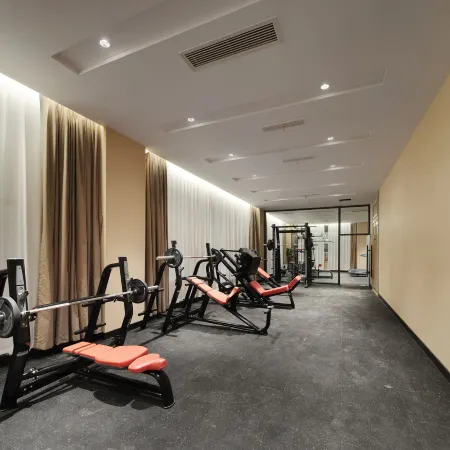 Vienna International Hotel (Zhongjiang Branch)