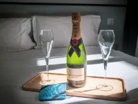 Hotel Lilas Blanc Hotel di Paris