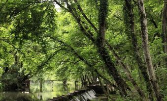 Huangshan Rural Slow Pace Homestay