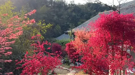 Yunbingshan ziyoushihuangkezhan