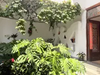 Dali Santorini Sunny villa (Ancient city) - Villalar