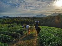 莫干山思颜旅舍 - 酒店附近