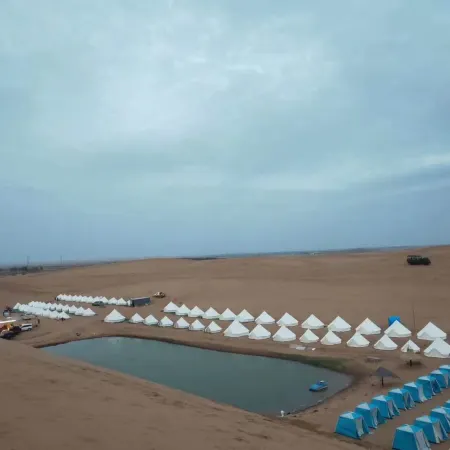Camp  Moli International