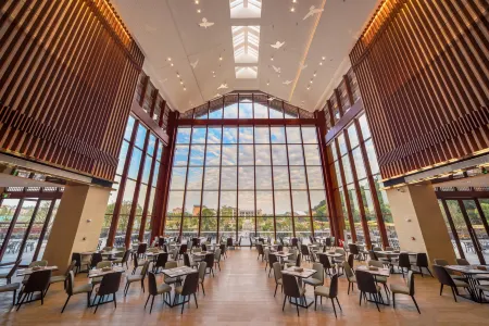 Freely Hover Golden Shuitai Hot Spring Town