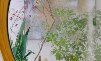 Manshu Alley Homestay