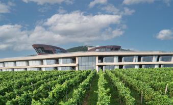 Runaway Cow Winery Retreat