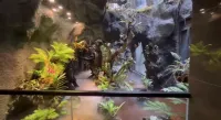 語溪聖景·生態·民宿（南嶽衡山風景區南嶽大廟店） 祝融小鎮附近的飯店