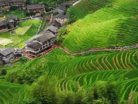 Longsheng Mengli Tongxiang Homestay