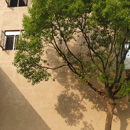 Fenghuangshan Fengqi Homestay