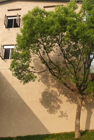 Fenghuangshan Fengqi Homestay Отели рядом с достопримечательностью «Yongquan Town»