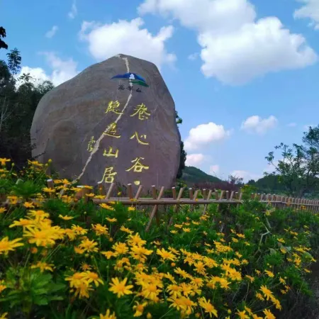 Yangxingu Yinyu Mountain Lodge