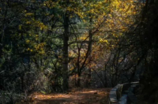 奔子欄喜林苑納達山居