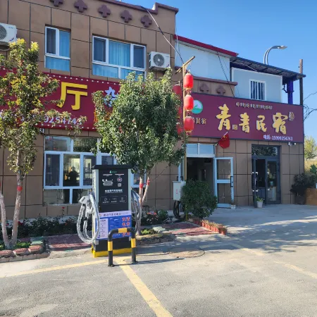 Qingqing Homestay