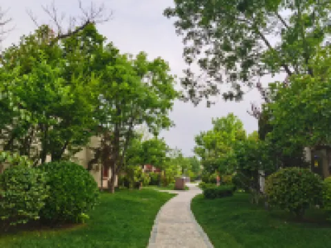 Mr. White Rabbit Guesthouse