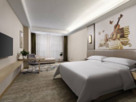 维也纳国际酒店(毕节三十米大道店) - 商务大床房