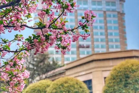 Radisson Collection Hotel,Xing Guo Shanghai